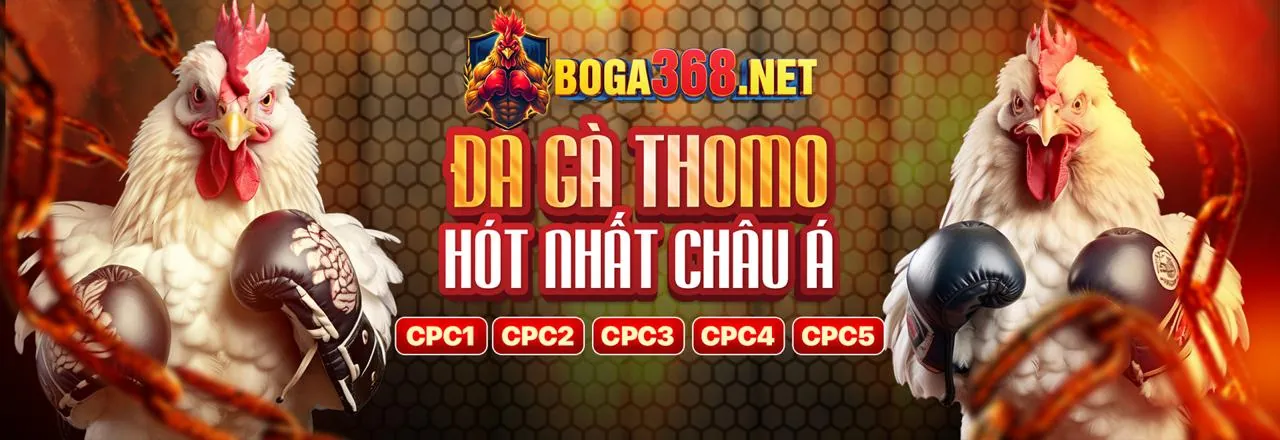 Giao diện Live Casino trên ứng dụng 1bmw nhà cái